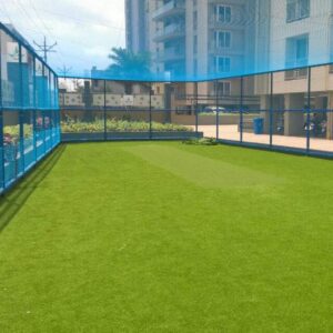 Read more about the article Grass installed in Willow Sportz Cricket academy